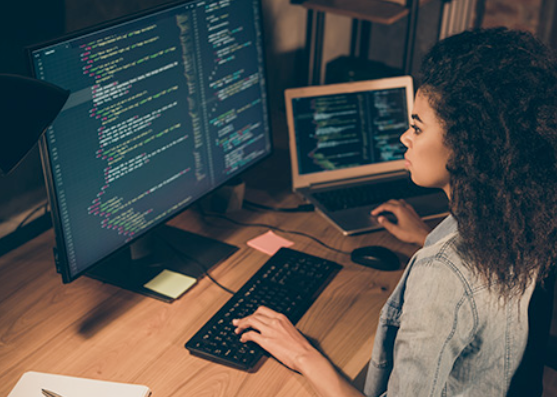 Python, Java, etc. – Computer Programming Course (2025-08-01 - 2029-01-01)